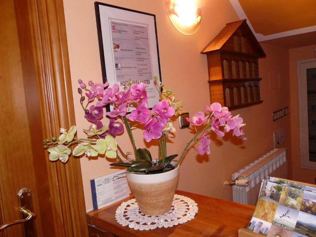 Hostal Rural Casa Castro Alberuela de la Liena Eksteriør bilde